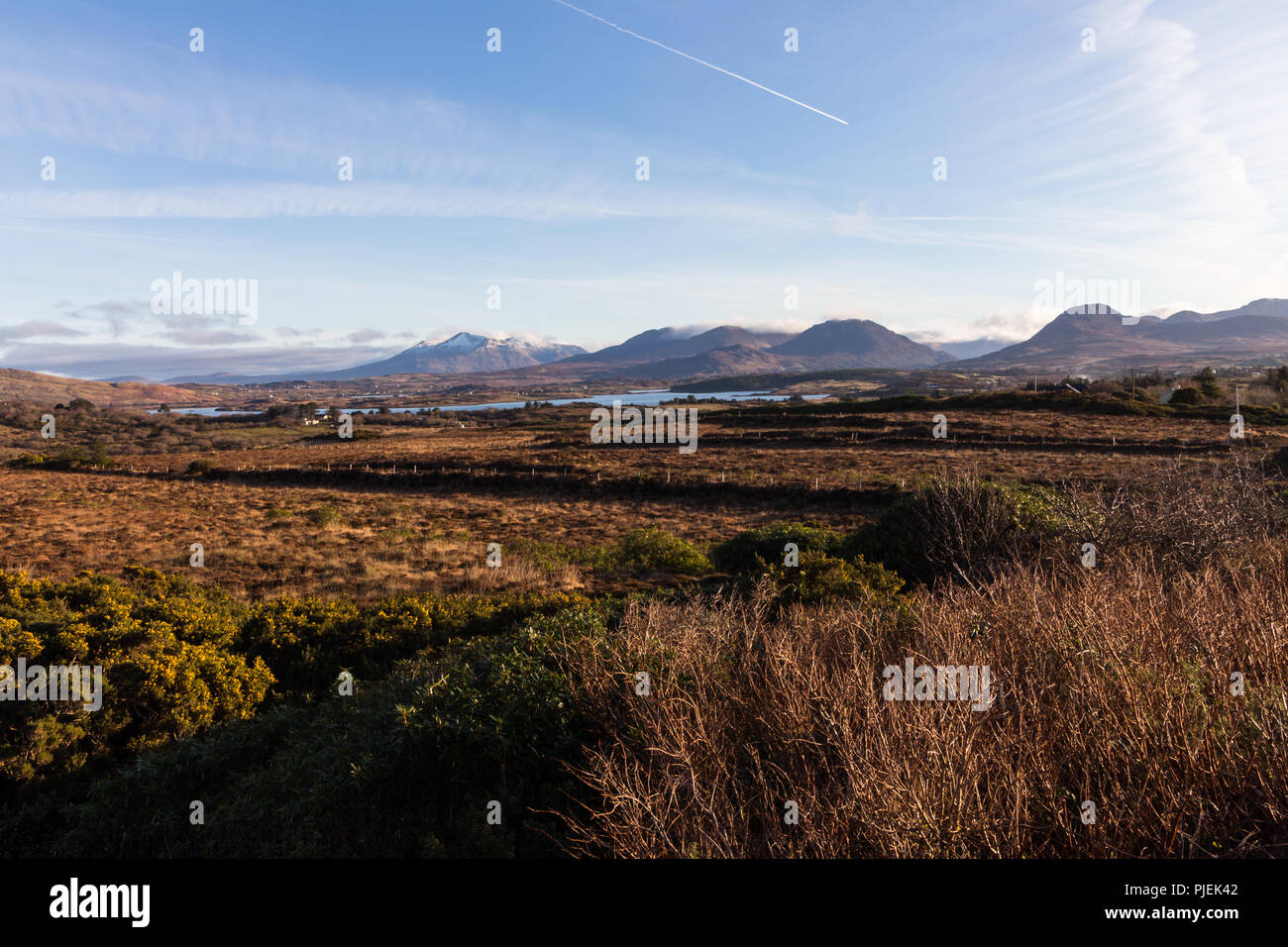 A Connemara country scene overlooking fields of heather to mountains, County Galway, Ireland. Stock Photo