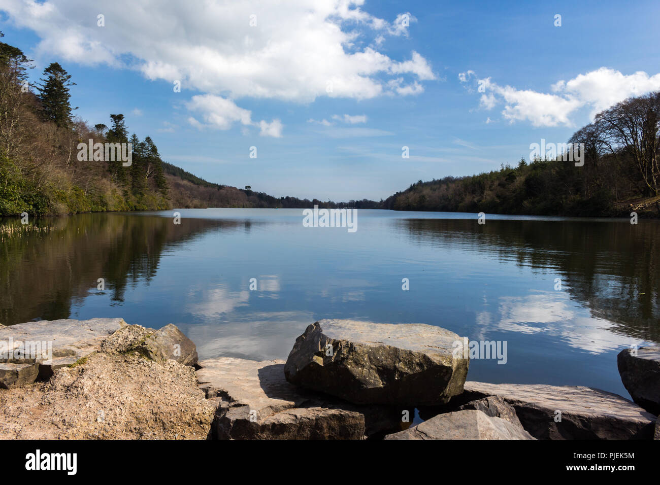 View from the end of the lake at Castlewellan Forest Park. Stock Photo