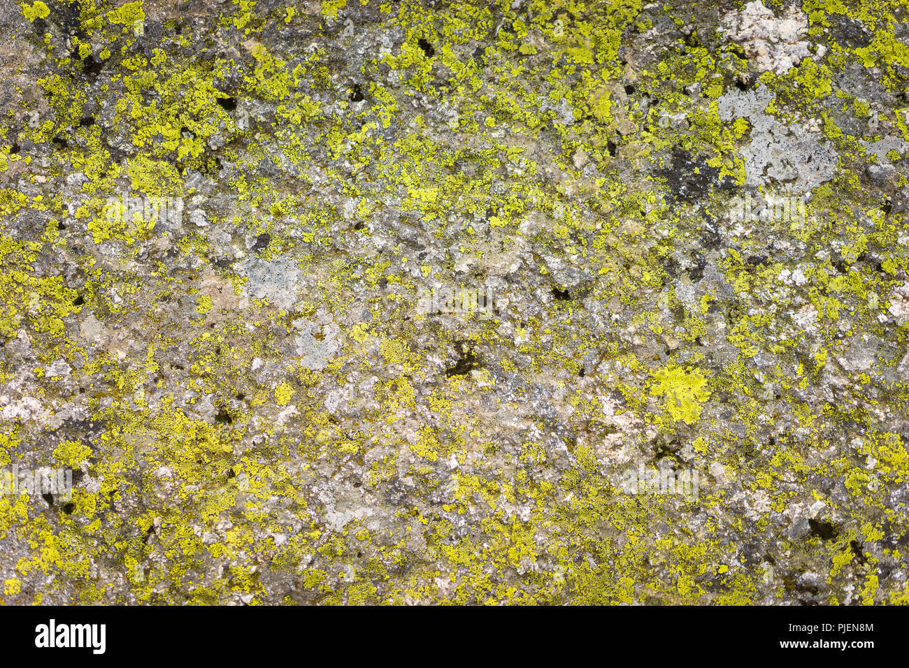 Beautiful relief and texture of stone with patterns and moss. Stone natural background. Stock Photo
