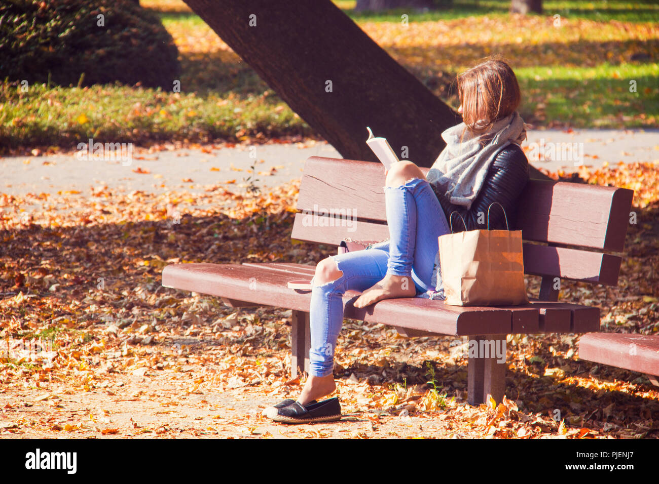 Woman Student Is Reading A Book Outside In The Park And Sitting On