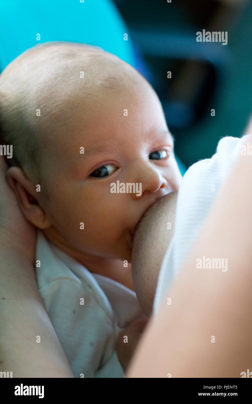 Breastfeeding baby boy portrait, beautiful intiacy face of hungry ...