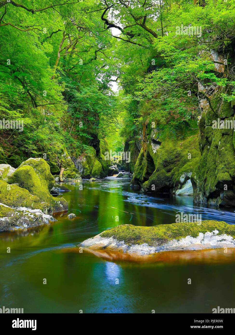 Portrait photograph (without people) capturing spectacular, natural &  magical beauty of Fairy Glen, Betws-y-coed, Wales, UK. Beautiful welsh  scenery Stock Photo - Alamy