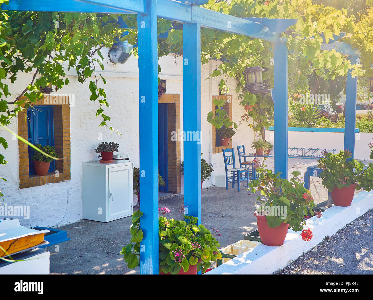 A typical porch of a Greek house covered with a grapevines. Greek island of Kos, South Aegean region, Greece. Stock Photo