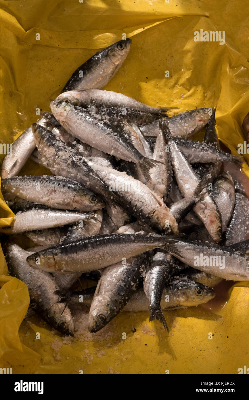 Salted sardines hires stock photography and images Alamy