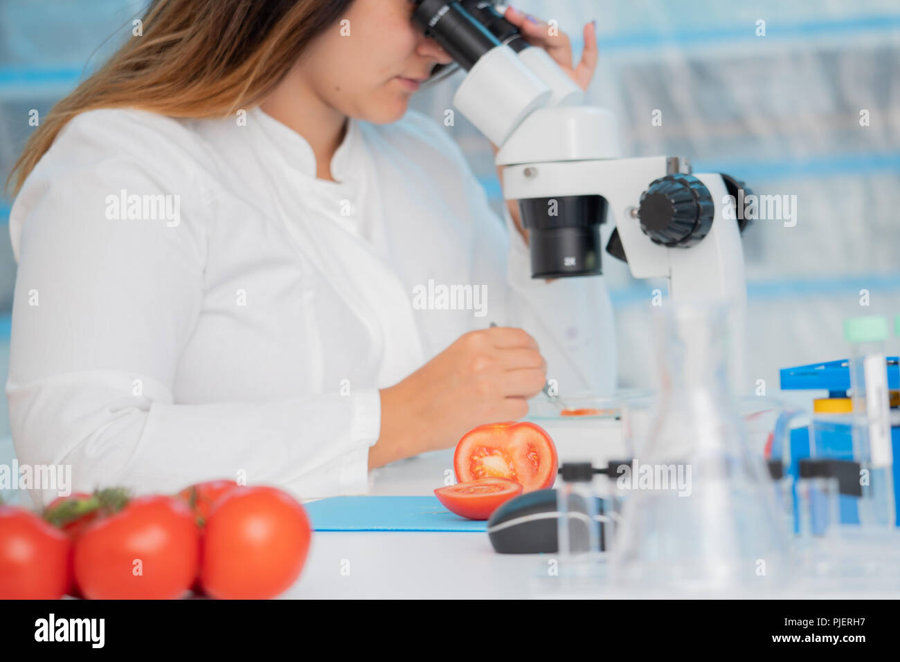Vegetable inspection hires stock photography and images Alamy