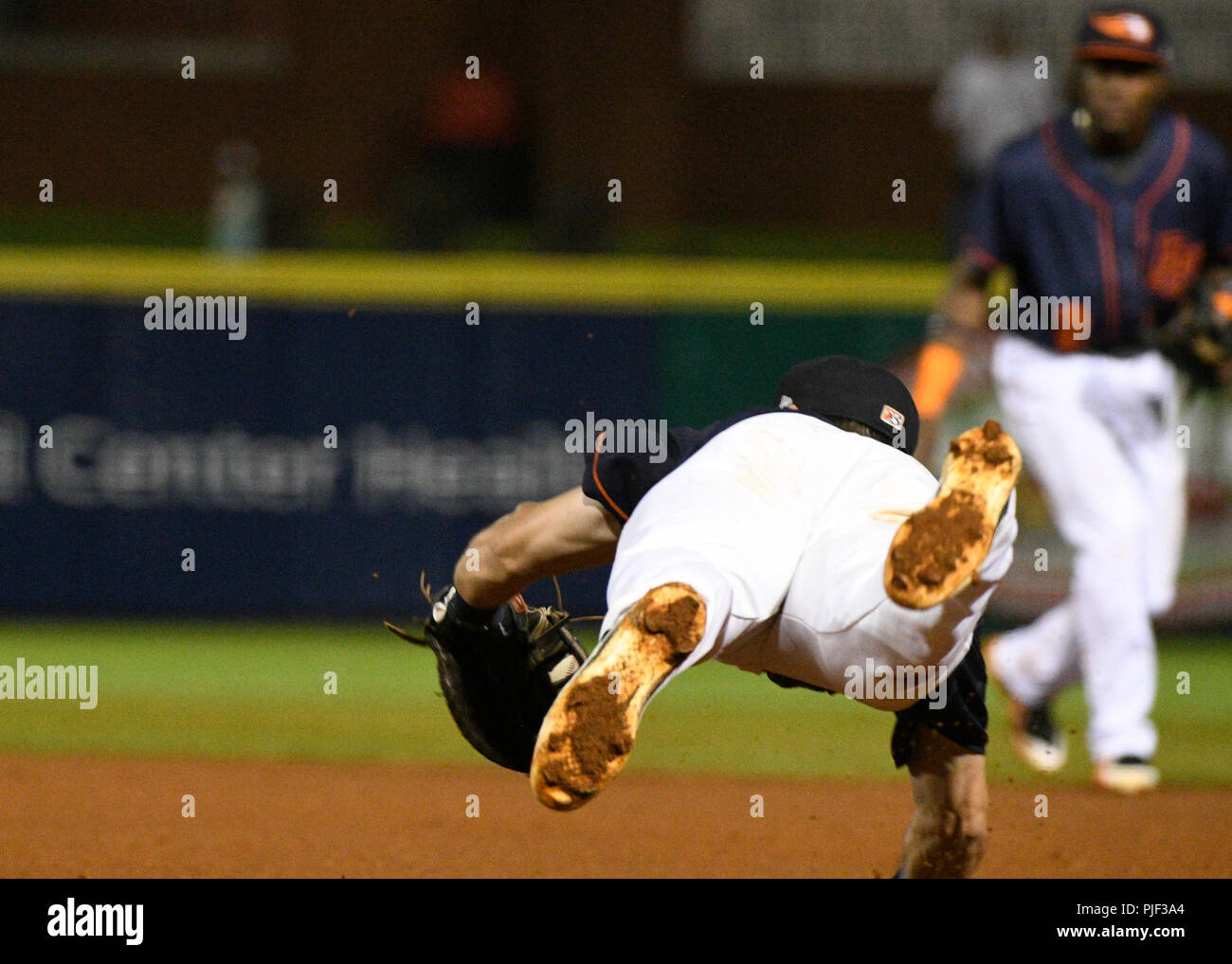 The Second Round. 6th Sep, 2018. USA Bowling Green Hot Rods first baseman Jim Haley (20) makes a diving catch during a Mid West League series between the Lansing Lugnuts and the Bowling Green Hot Rods in Bowling Green, KY st Bowling Green Ballpark. Hot Rods sweep Lugnuts and advance to the second round. (Mandatory Photo Credit: Steve Roberts/CSM) Credit: csm/Alamy Live News Stock Photo