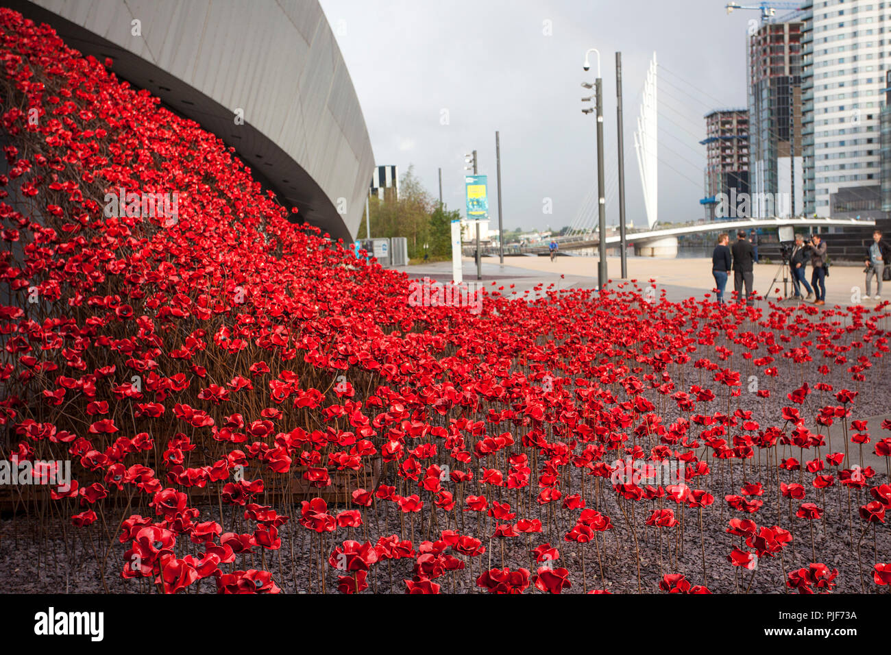 Manchester, UK. 7th Sept 2018. The iconic poppy sculpture Wave by ...