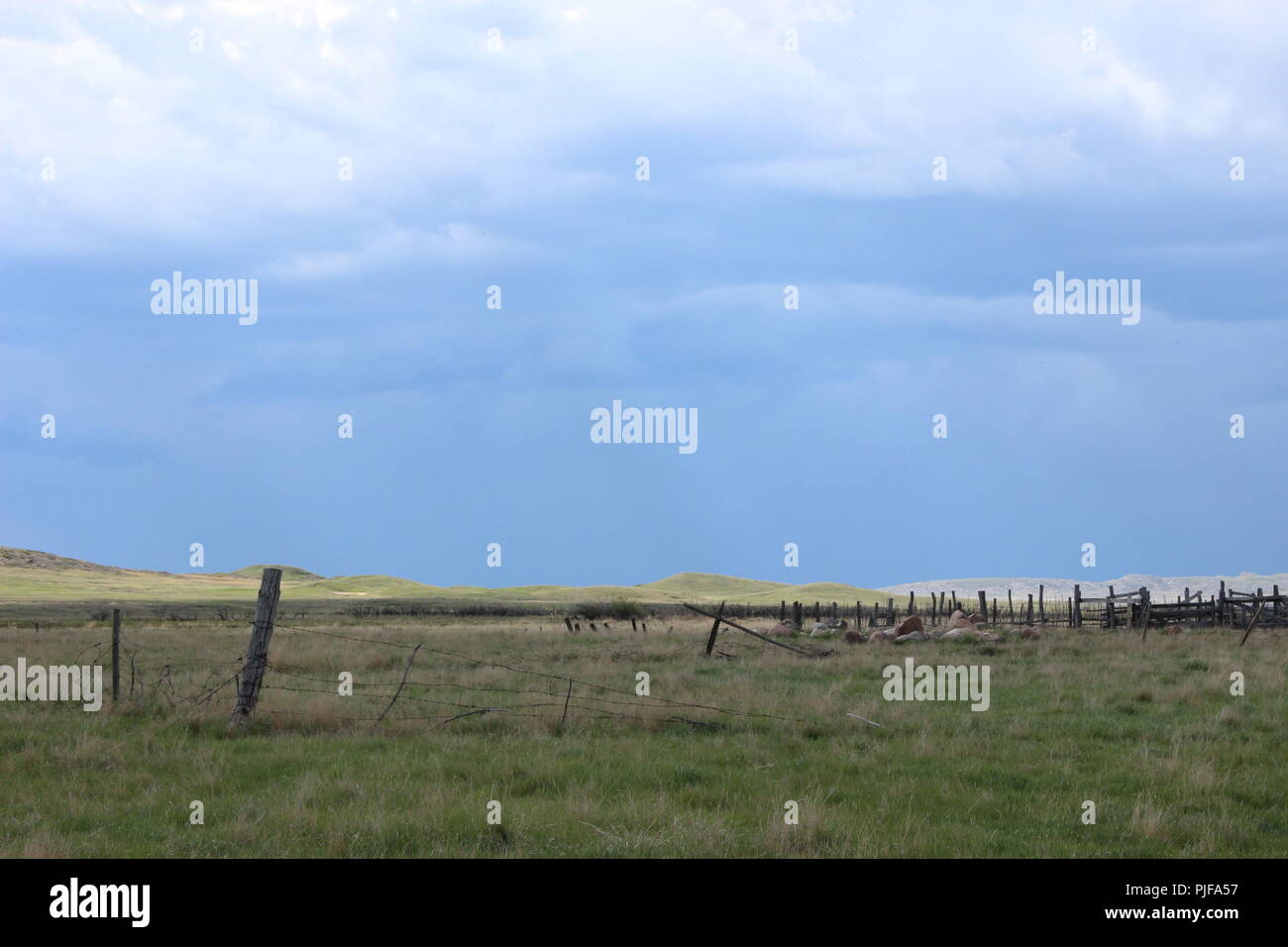 Cattle Chute on the Prairies Stock Photo