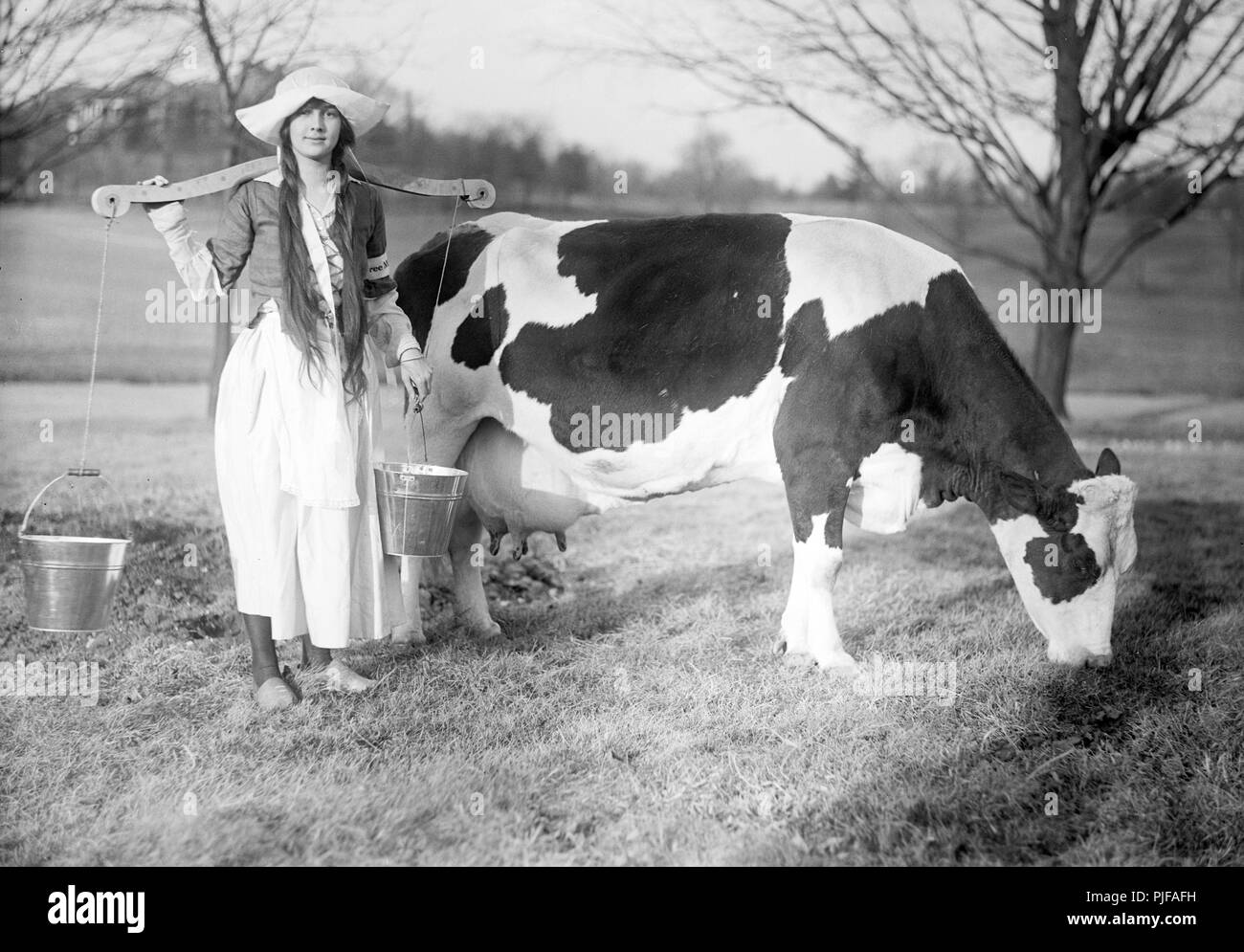 Dutch Dairy Maid with cow, Milkmaid or milk maid Stock Photo