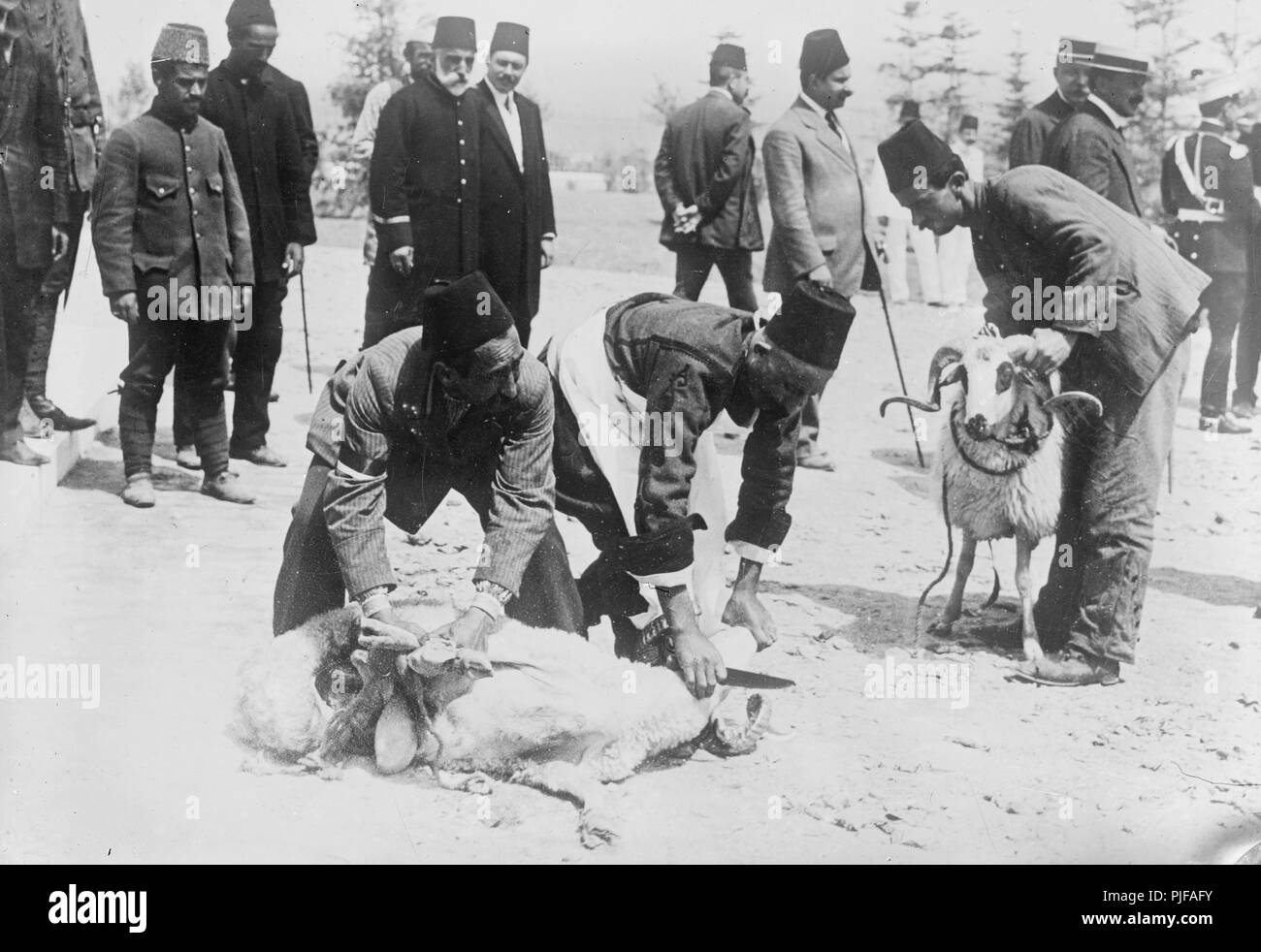 Turks sacrificing animals before battle Stock Photo