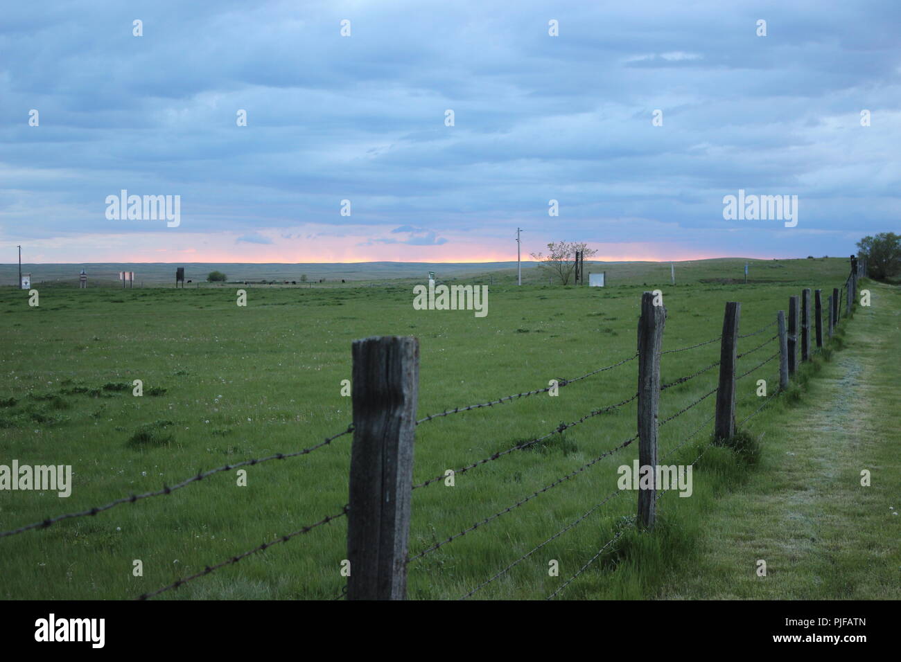 Barbed wire fence and field and path hi-res stock photography and ...
