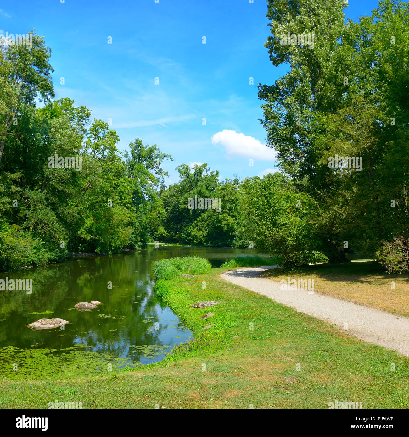 Small picturesque lake in city park and bright blue sky. Stock Photo