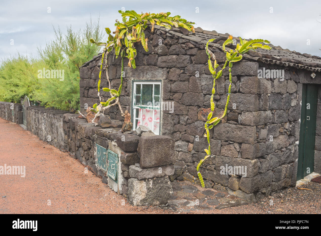Typical house made of volcanic rocks, Verdelho wine region, Pico Island
