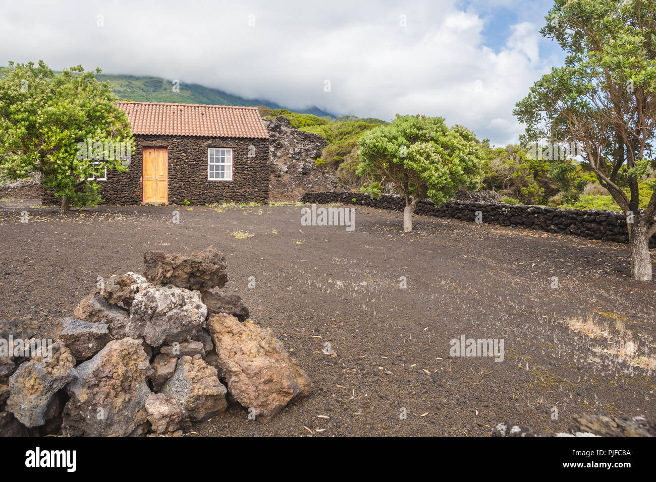 Typical house made of volcanic rocks, Verdelho wine region, Pico Island, Azores, Portugal Stock Photo