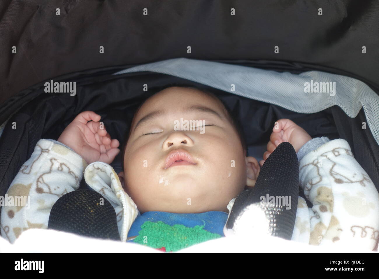 6 month old in stroller