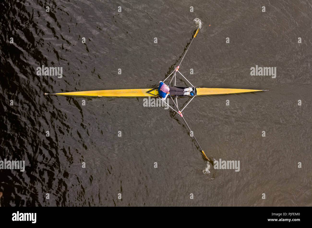 Rowing boat drive in the Nile river,Cairo,Egypt Stock Photo - Alamy