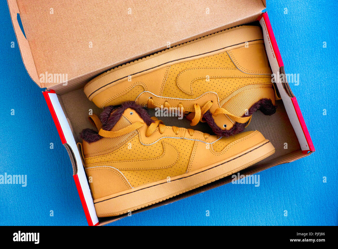 Tambov, Russian Federation - September 28, 2017 New Nike court borough mid winter sport shoes in the box on blue background. Studio shot. Stock Photo