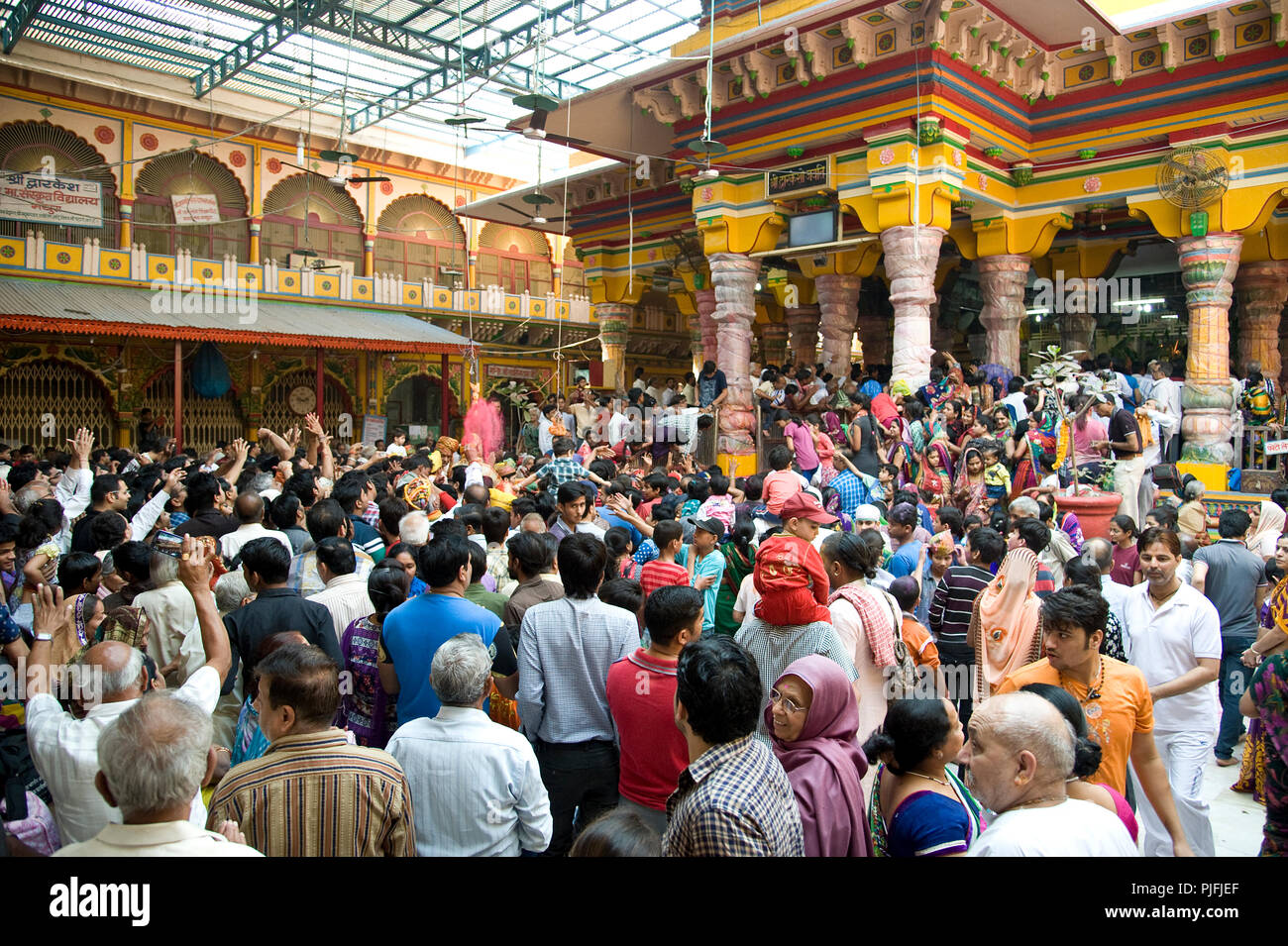 Devotees they celebrate Holi Festival  at Dwarka Dhish Mandir Mathura  Uttar Pradesh  India Asia, South Asia Stock Photo