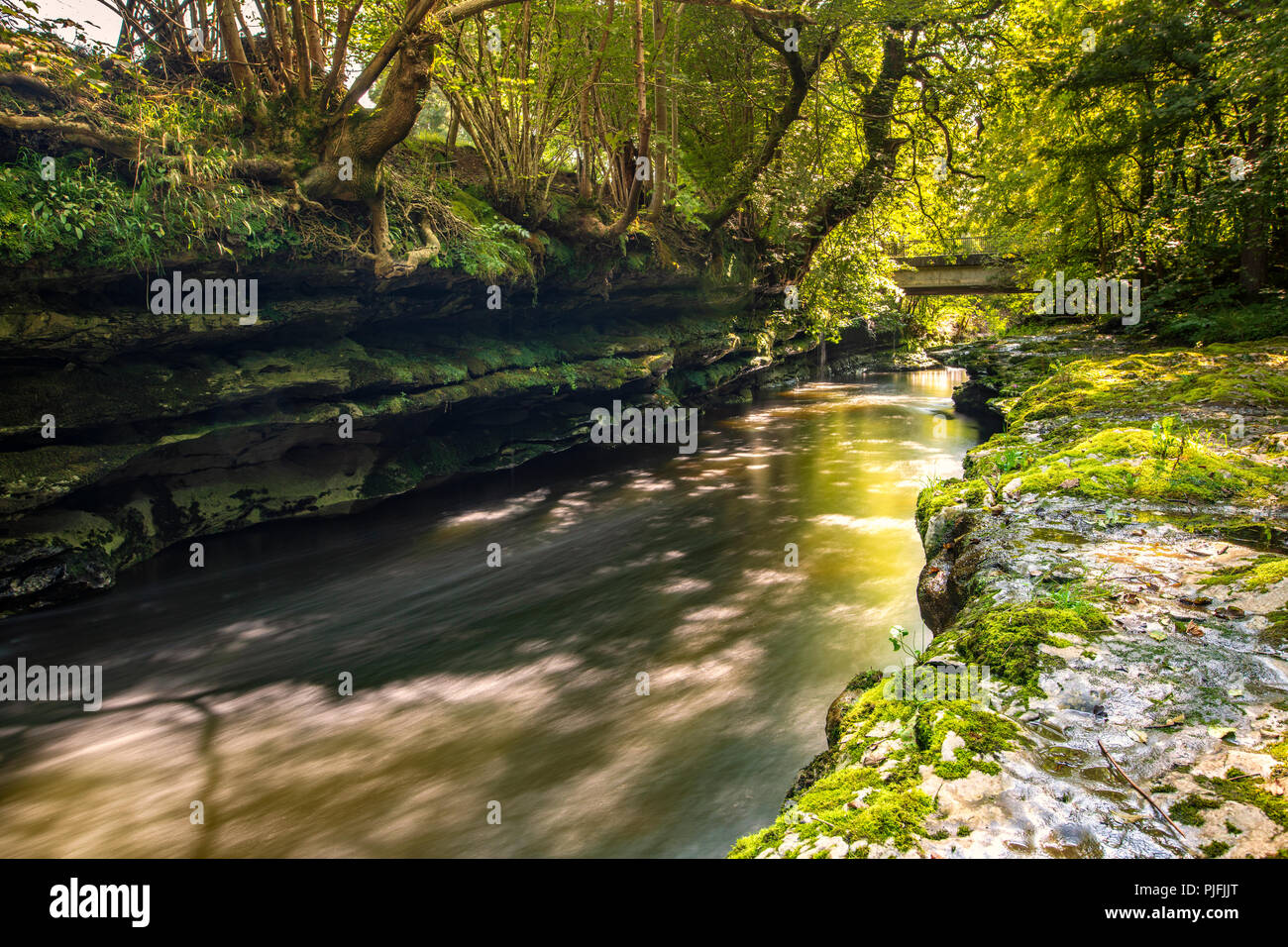 The River Kent at Sedgwick.  It flows through a narrow limestone gourge at this point, with tumbling waterfalls and dappled light through the trees. Stock Photo