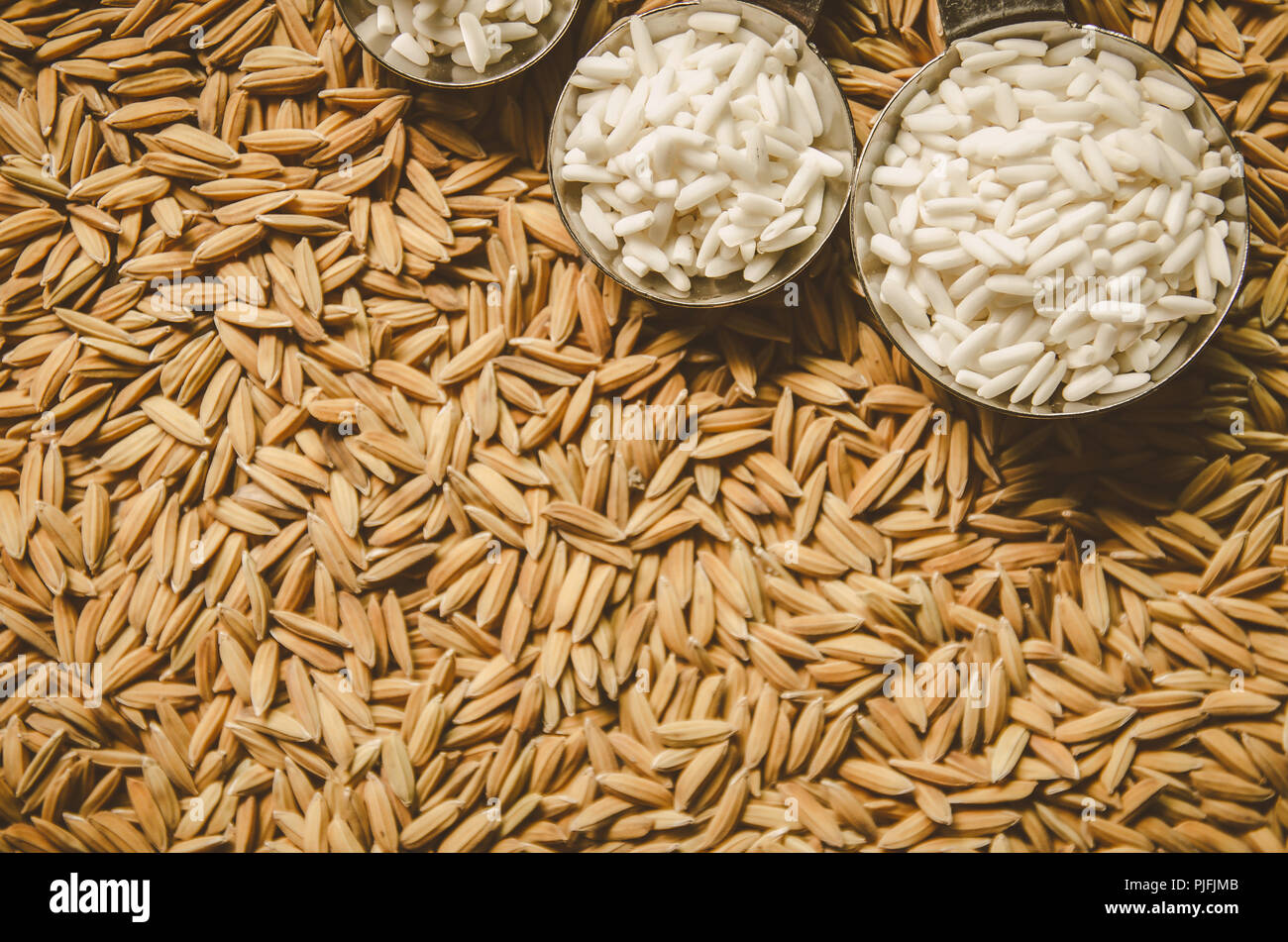 Top view of paddy rice and rice seed on the floor, Background and