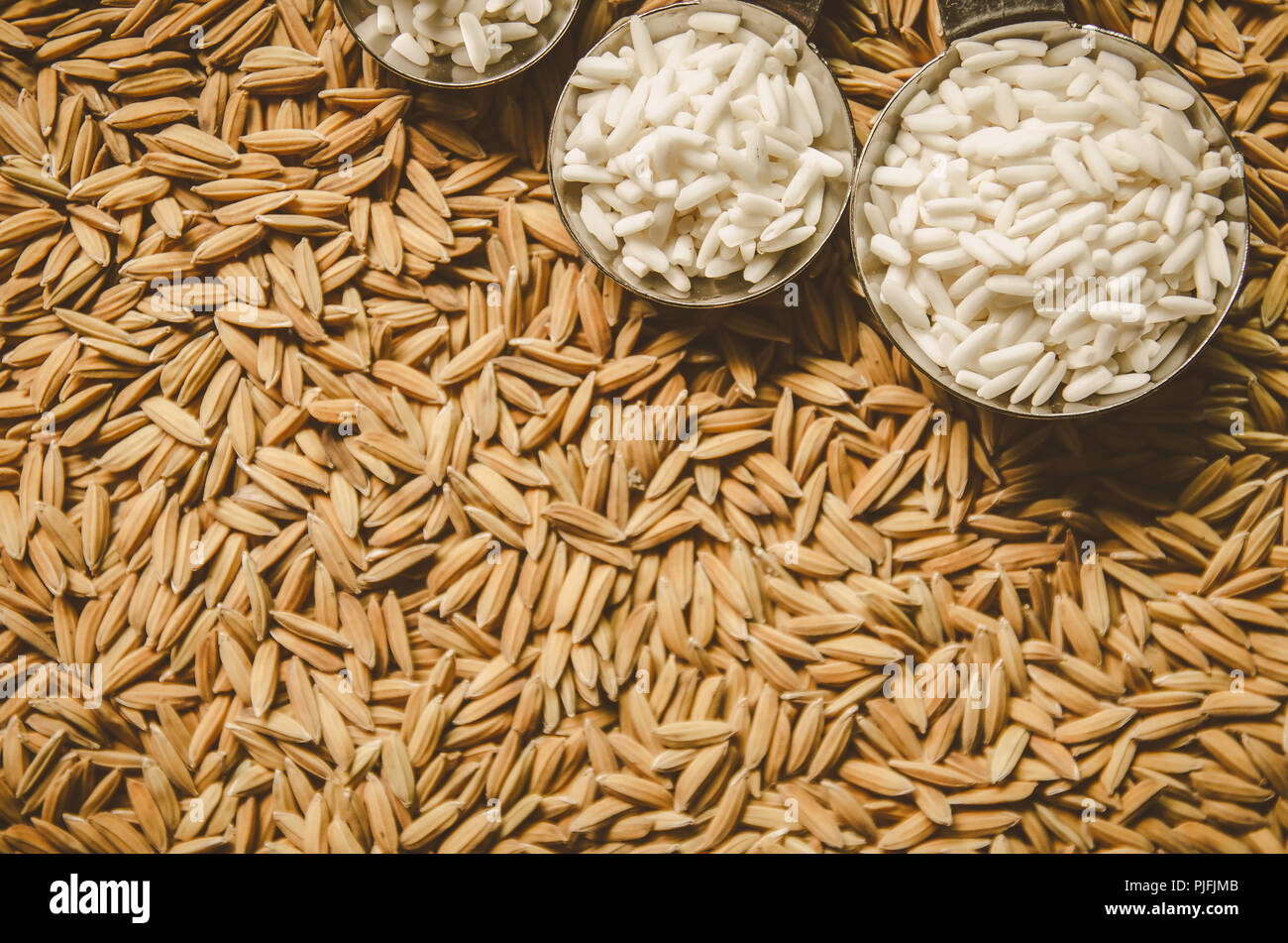 Unprocessed Rice Images Browse 2406 Stock Photos  Vectors Free Download  with Trial  Shutterstock