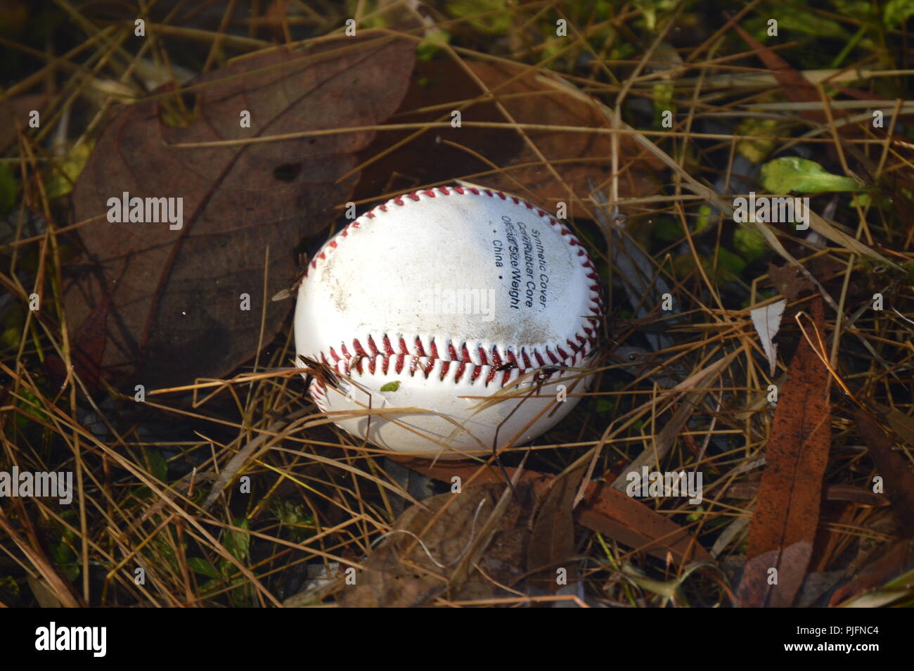 White baseball ball in hi res stock photography and images Alamy