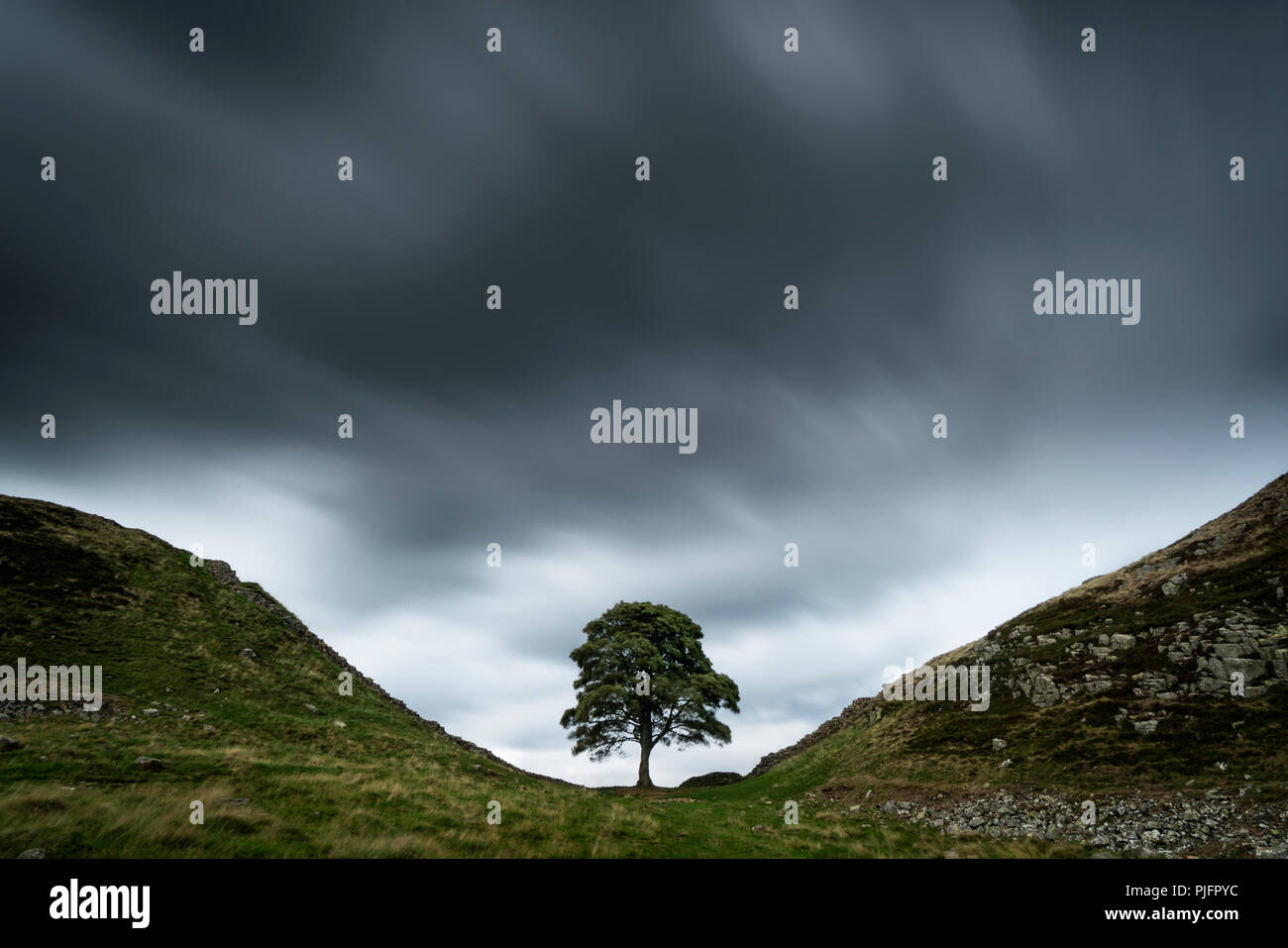 Long exposure shots of Sycamore Gap in Hadrian's Wall Country, Northumberland, England Stock Photo