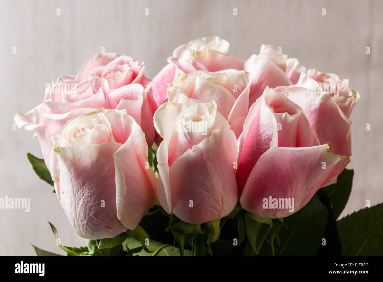 Pink roses bouquet isolated on white background Stock Photo - Alamy