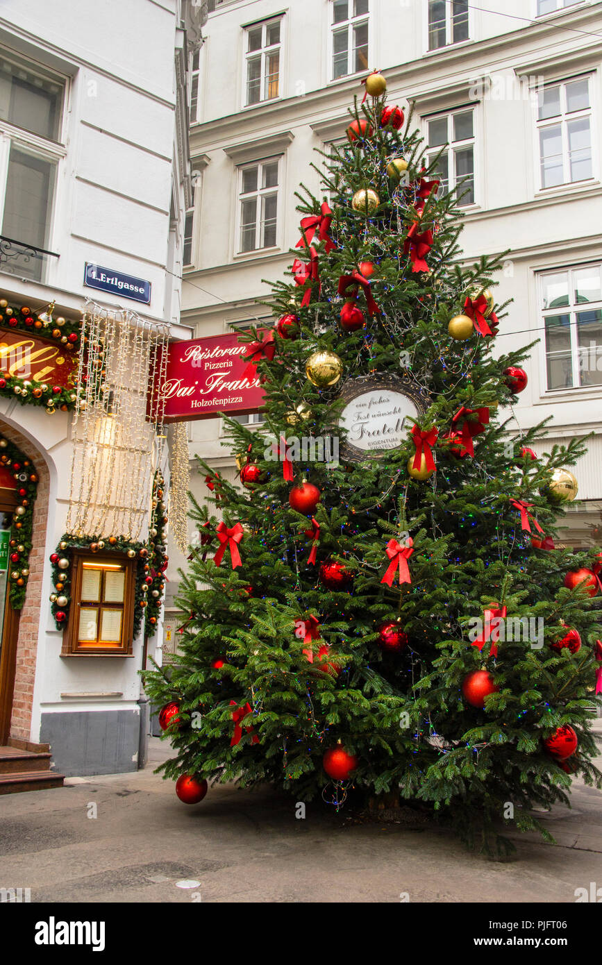 Fresh Christmas tree decorated in red ribbons and balls wishing a Merry Cristmas, ein froshes Fest wünschit, in Vienna, Austria. Stock Photo