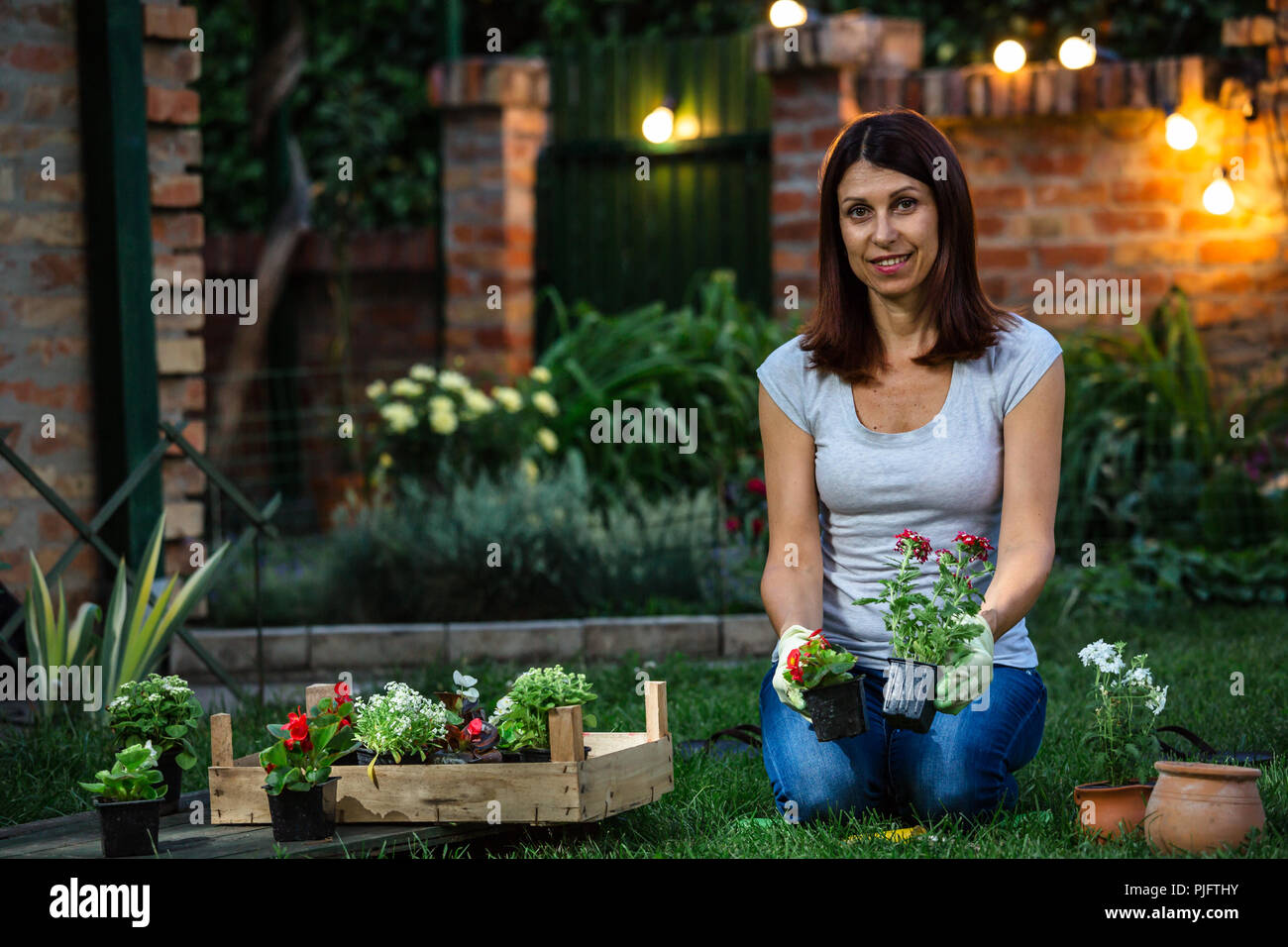 Mid-age woman planting flowers in backyard Stock Photo
