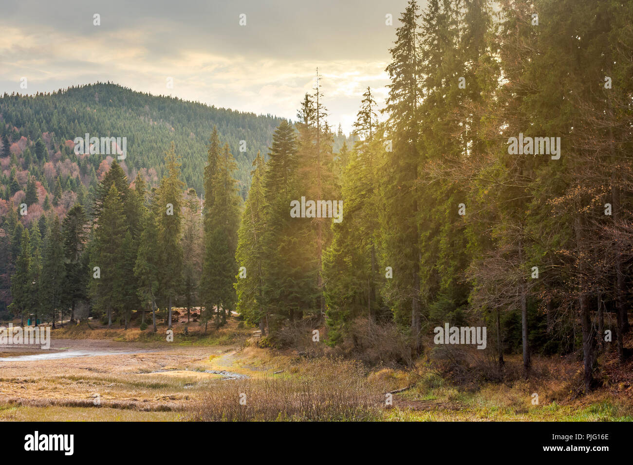 beautiful scenery of lake among the forest. wonderful autumn afternoon in mountains Stock Photo