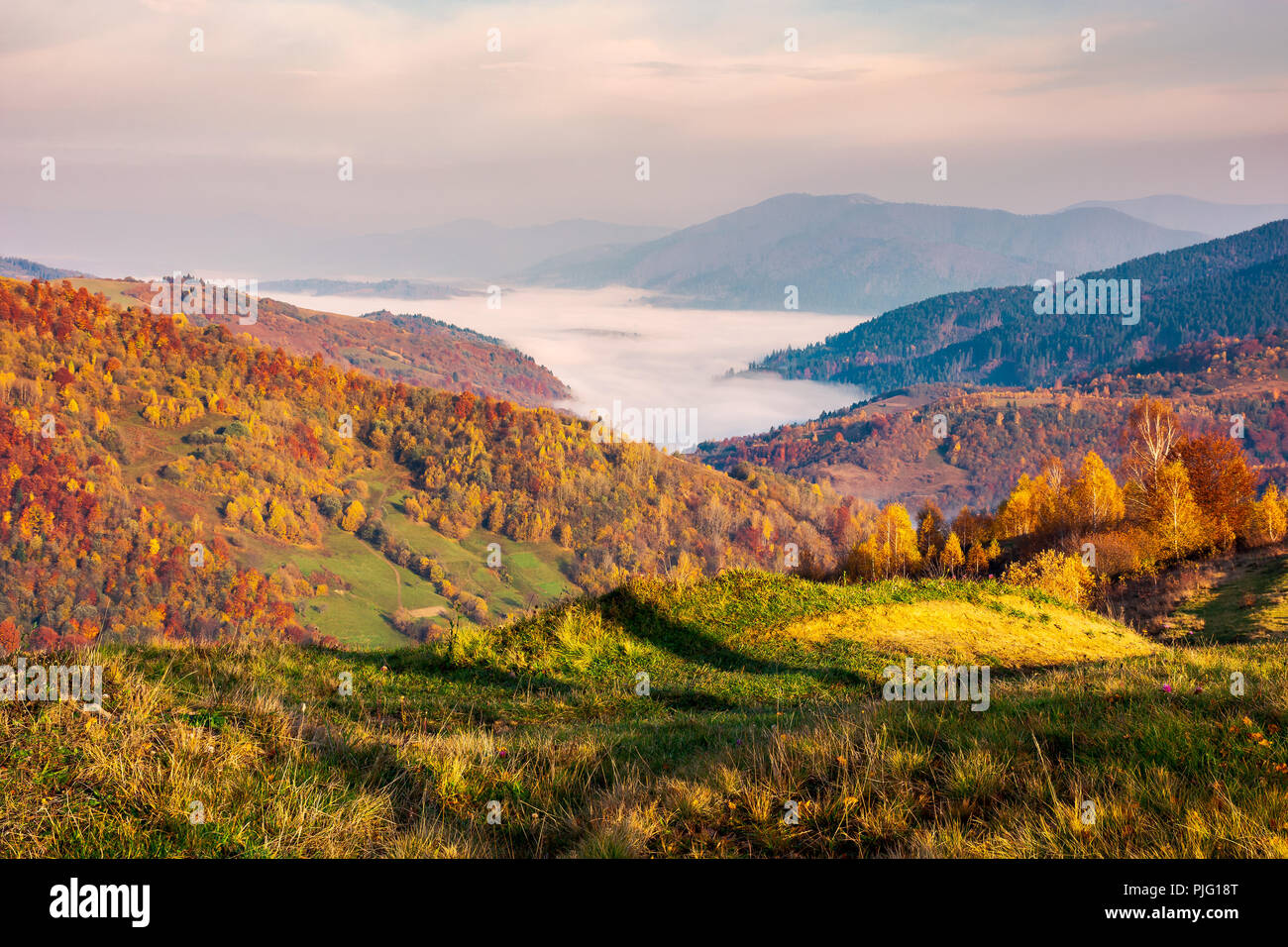 beautiful landscape at foggy autumn sunrise. red foliage on forested hills. cloud inversion in distant valley. beautiful season colors Stock Photo