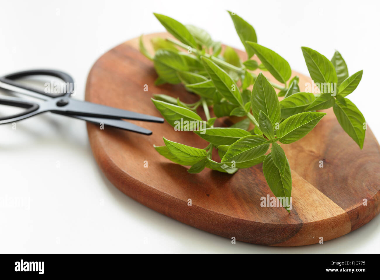 Fresh basil on a cutting board Stock Photo