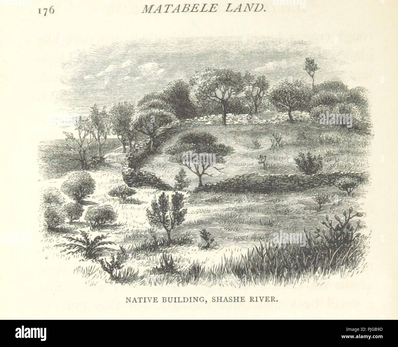 Image  from page 248 of 'Matabele Land and the Victoria Falls. A naturalist's wanderings in the interior of South Africa. From the letters and journals of the late Frank Oates, F.R.G.S. Edited by C. G. Oates. (Memoir.)' by Th0039. Stock Photo