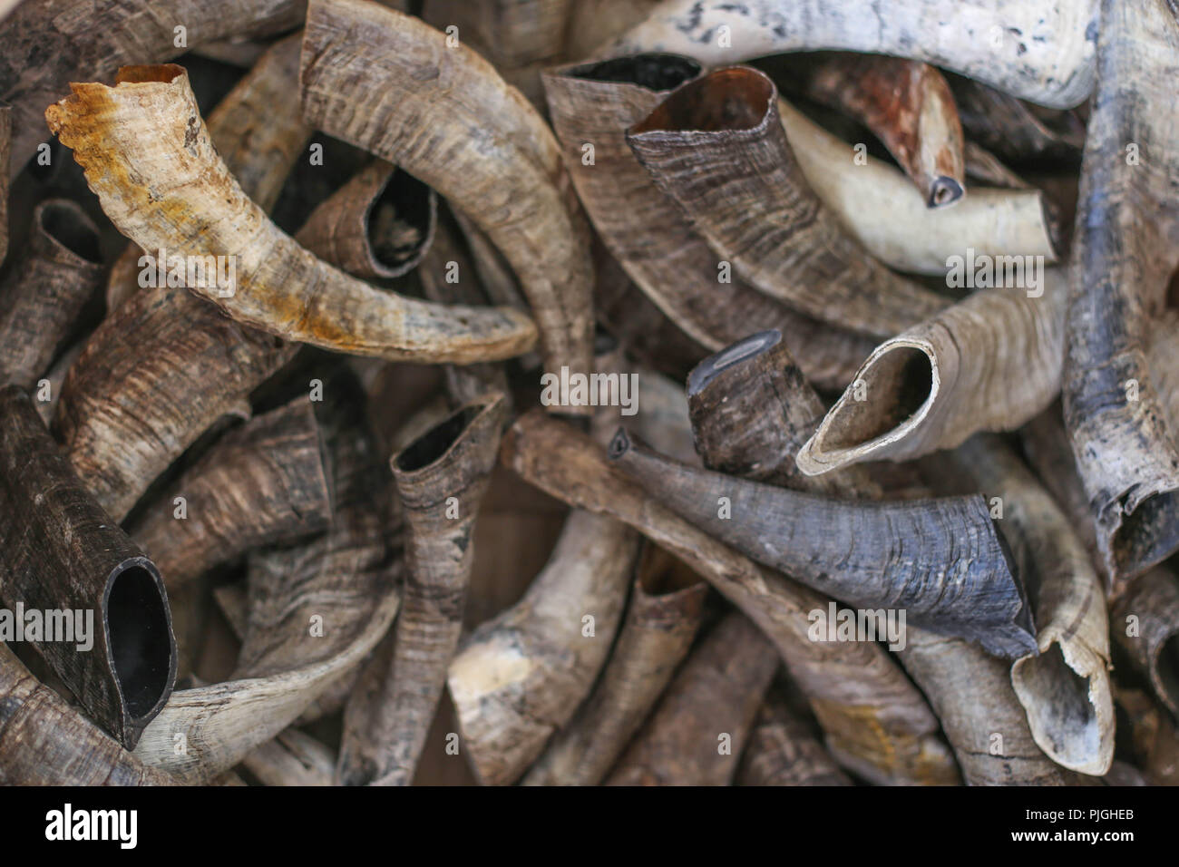 rosh-hashana-background-shofar-pile-jewish-new-year-stock-photo-alamy