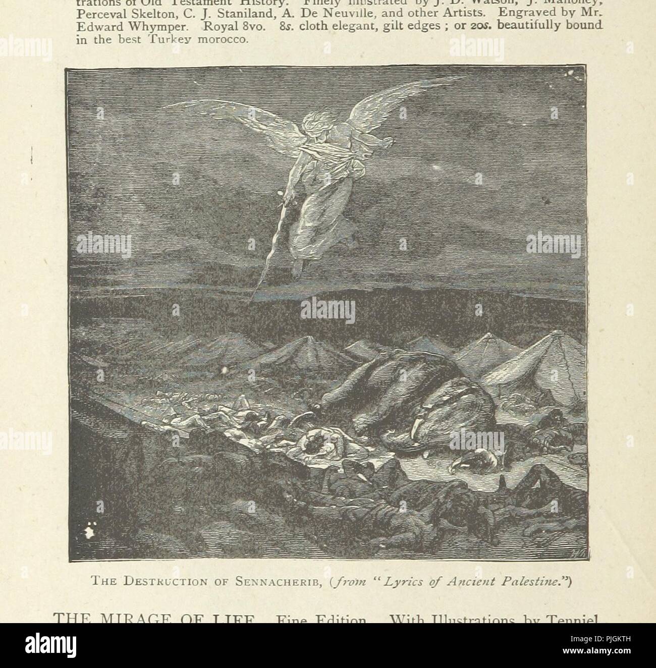 Unequally yoked hires stock photography and images Alamy