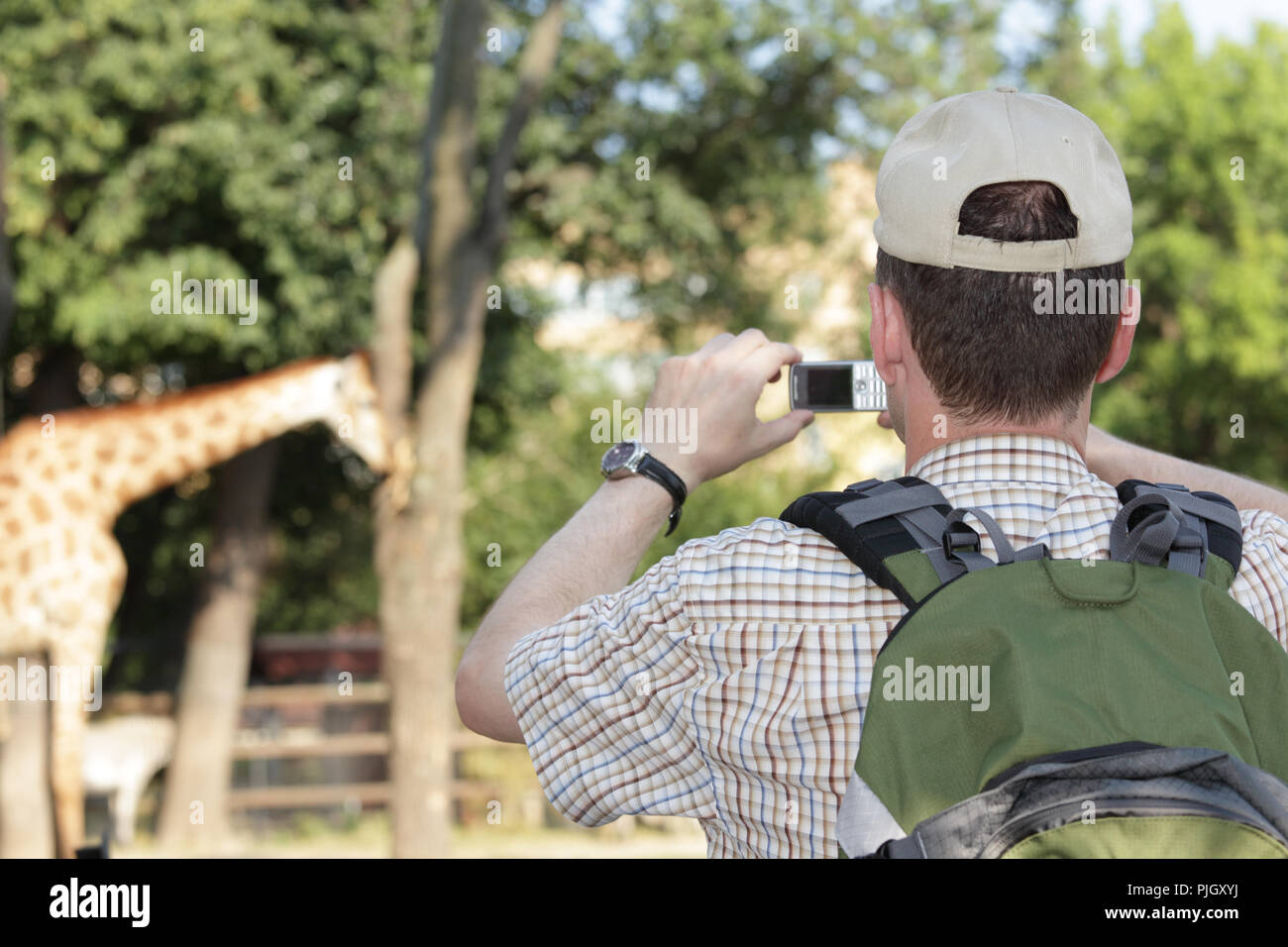 Tourist in the zoo making photo using cell phone Stock Photo