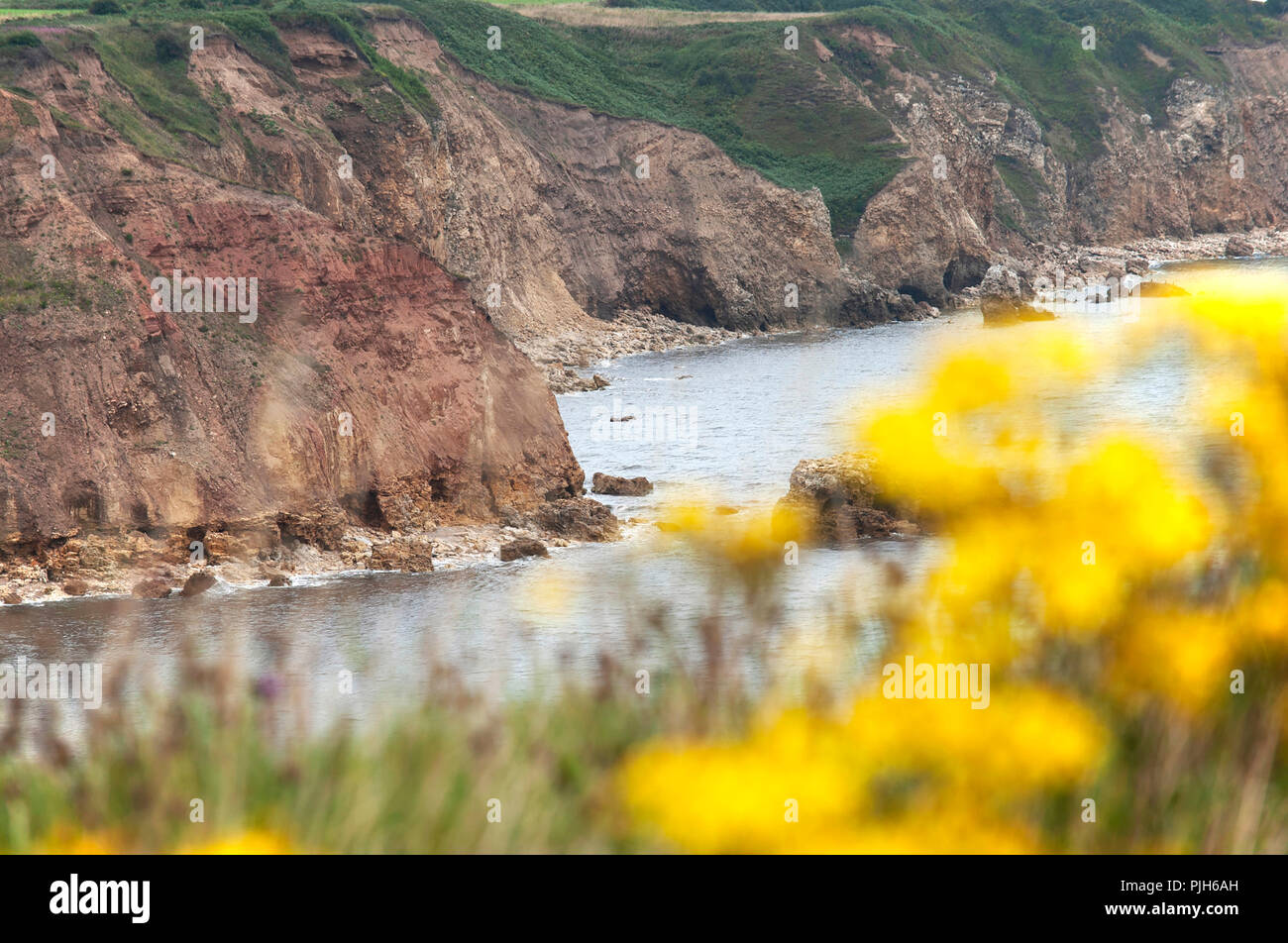Durham Heritage Coast near Easington Colliery, County Durham, UK Stock