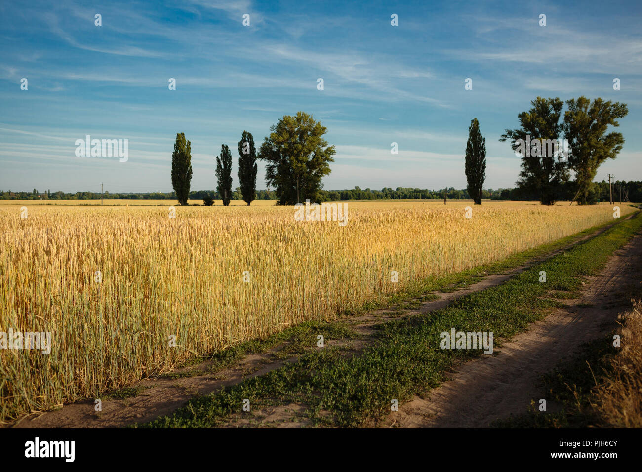 Rural landscape with field and road Stock Photo - Alamy