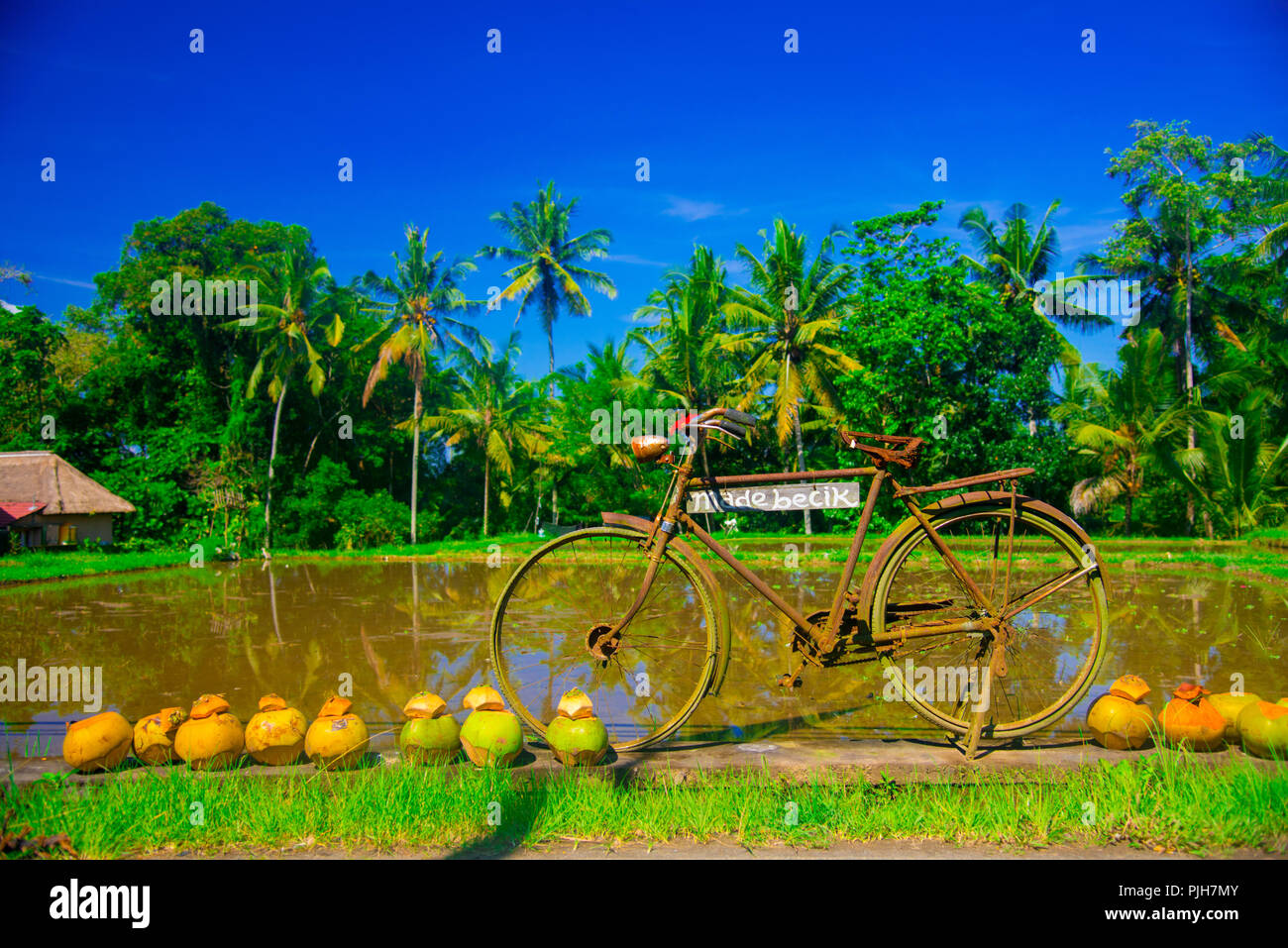 Rice field in Bali, Indonesia. Bali is an Indonesian island and known ...