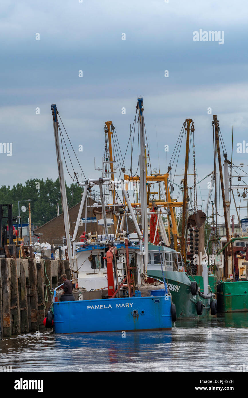 Group of fishing boats at the Kings Lynn fisher fleet, Kings Lynn
