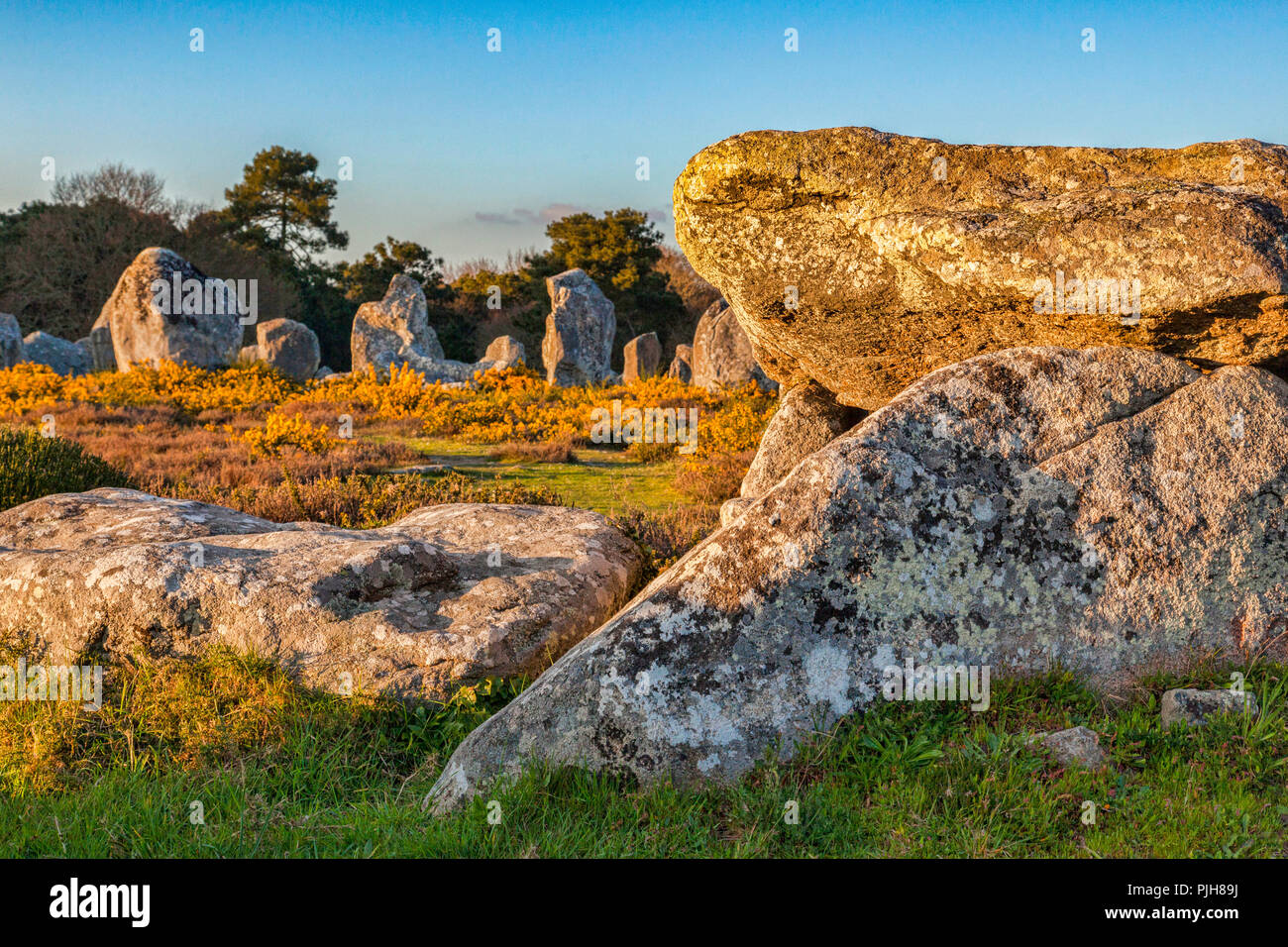 Dolmen and standing stones at Carnac, Brittany, France, a UNESCO World Heritage Site and huge tourist attraction. Focus on foreground. Stock Photo