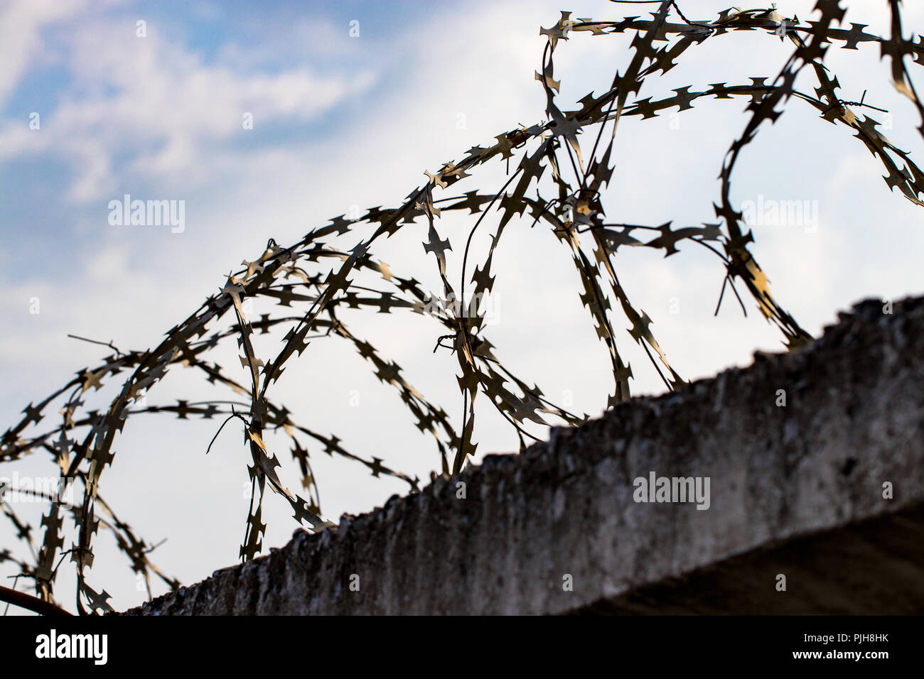 Barbed wire fence with Twilight sky, close up Stock Photo - Alamy