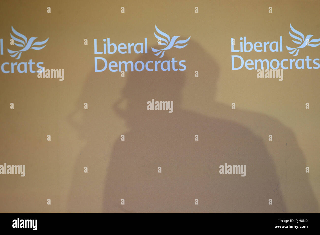 Liberal Democrat leader Sir Vince Cable shadow as he gives a speech on