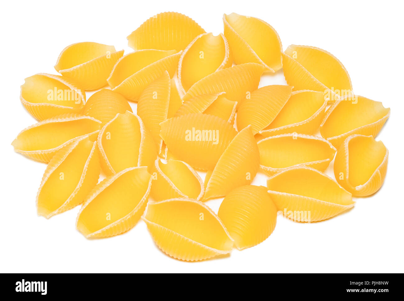 pasta in the shape of a shell isolated on white background close up ...
