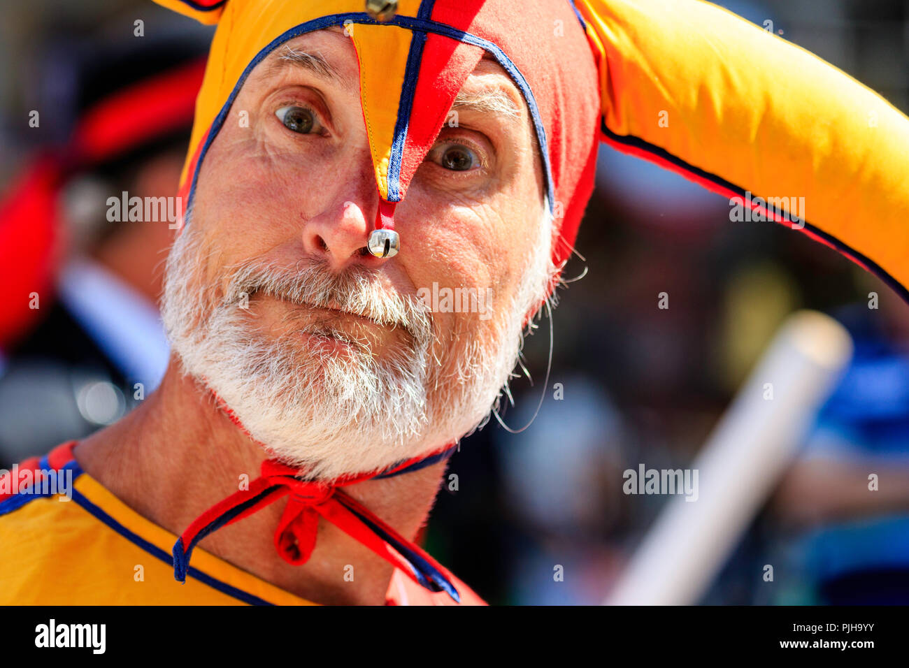 Mature man in orange and yellow medieval costume, court jester, clown. Close up of face, as he looks directly at viewer, eye contact, grey beard. Stock Photo