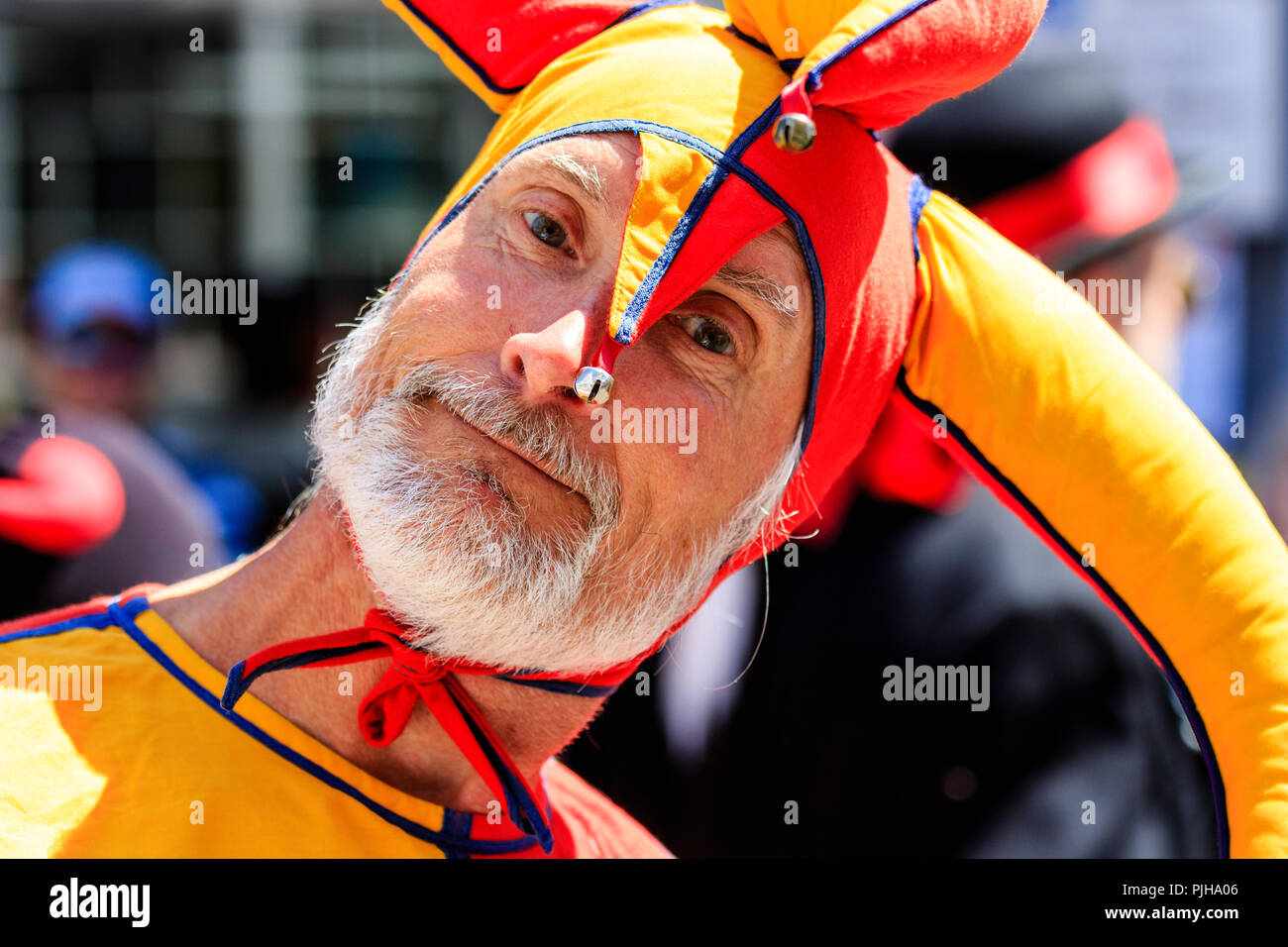 Mature man in orange and yellow medieval costume, court jester, clown. Close up of face, as he looks directly at viewer, eye contact, grey beard. Stock Photo