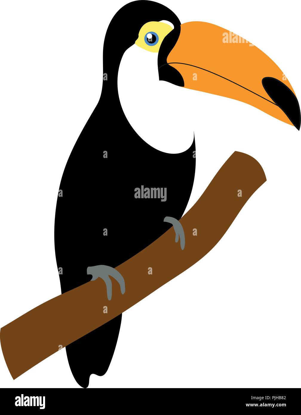 Vector, Exotic toucan sitting on the branch isolated on white. The tropical bird has a beautiful big orange beak. Stock Vector