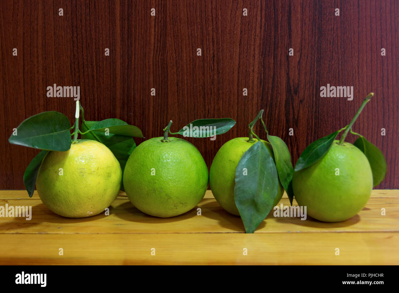 The fresh, quality Oranges, grown in Southeast Asia, good for health and exported around the