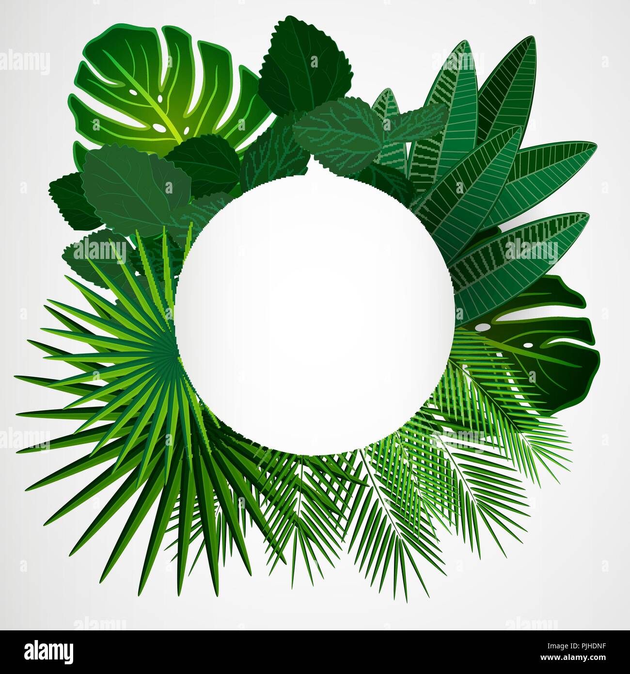 Tropical leaves. Floral design background Stock Vector Image & Art - Alamy